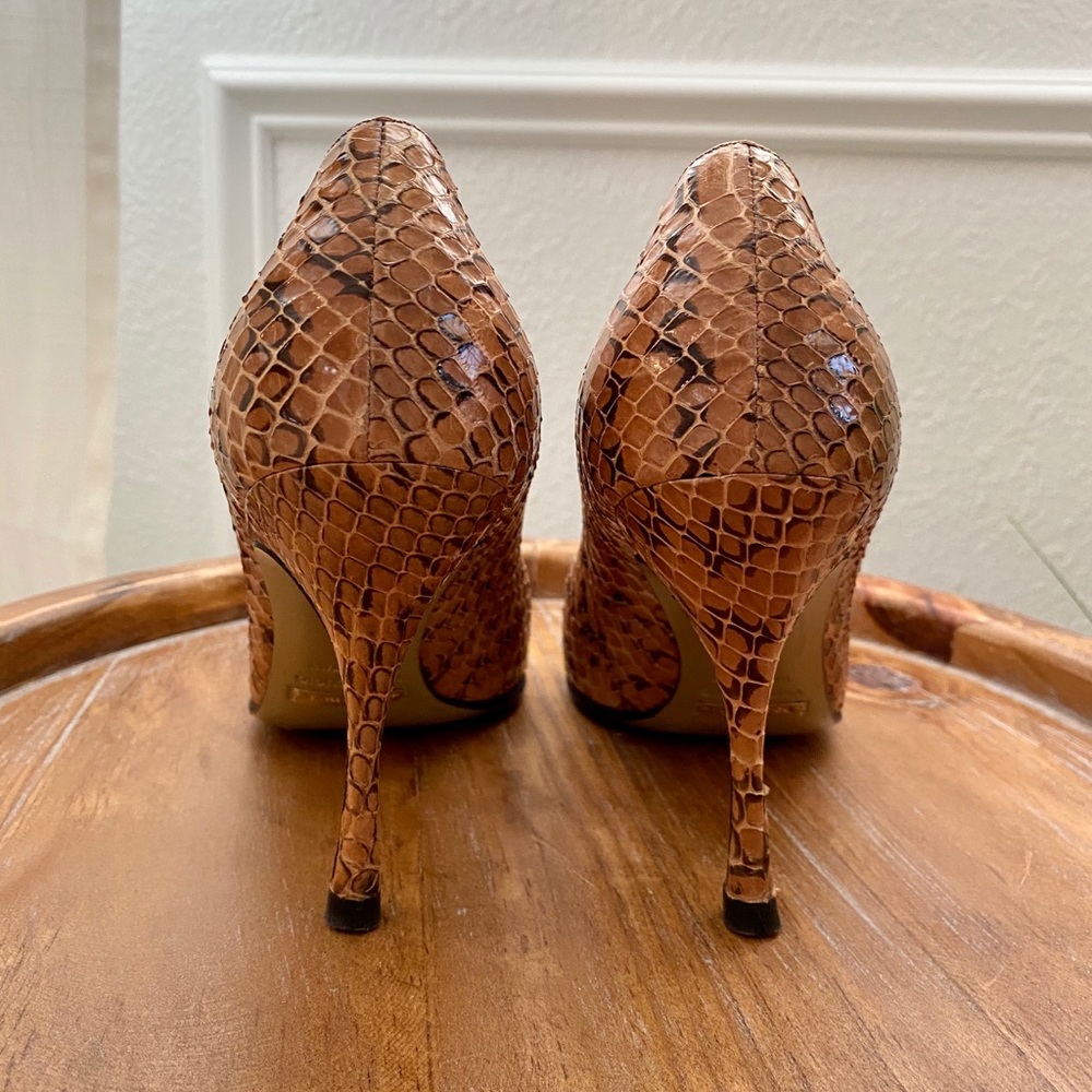 💕 Dolce & Gabbana Python Pumps - Picture 3 of 7